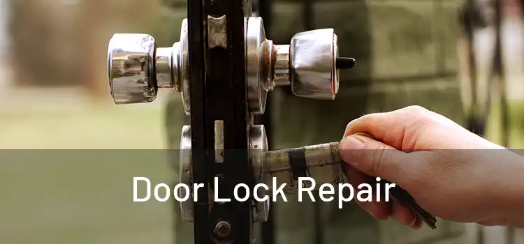 Door Lock Repair