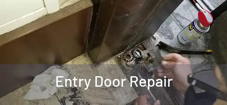 Entry Door Repair